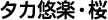 タカ悠楽・桜