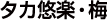 タカ悠楽・梅